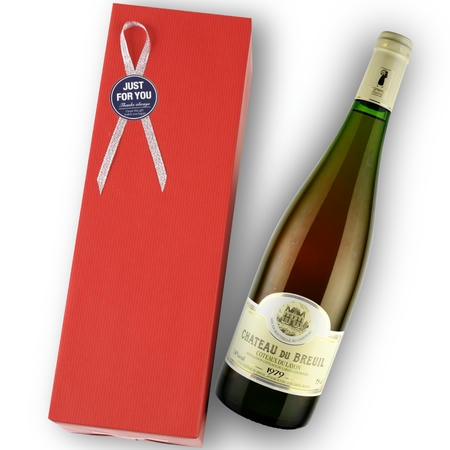 1979年 シャトー・デュ・ブルイユ / コトー・デュ・レイヨン [Chateau