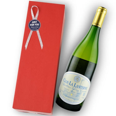 1996年 ドメーヌ・ド・ラ・シャテニュレ / ヴーヴレ・モワルー・クロ