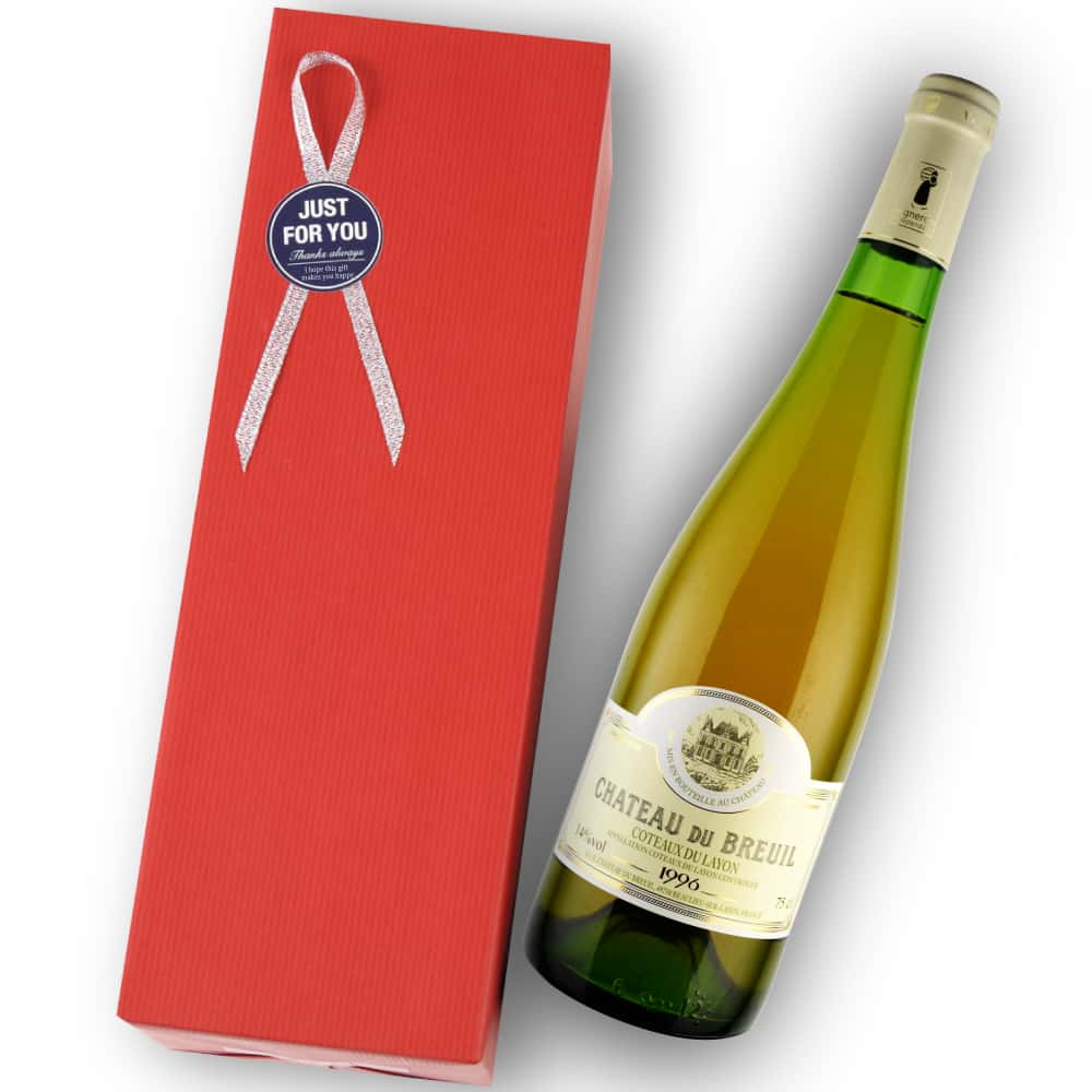 1996年 シャトー・デュ・ブルイユ / コトー・デュ・レイヨン [Chateau