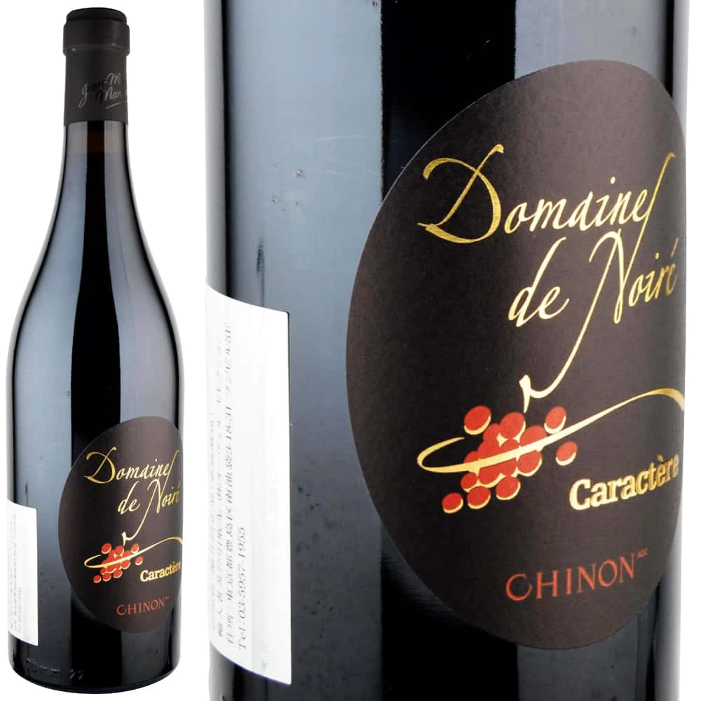 2009年 ドメーヌ・ド・ノワレ / シノン・カラクテール・ルージュ