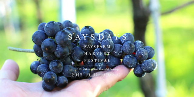 saysfarm-winefes20161009